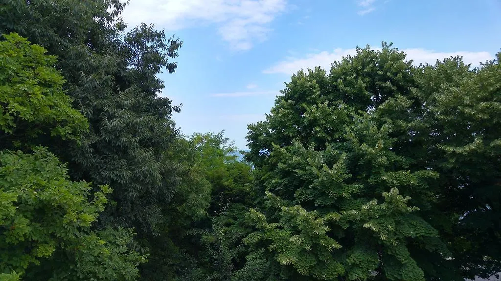 Rooms for Rent - Villa Desi Varna